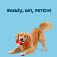 Load image into Gallery viewer, Favour Squeaky Dog Toys