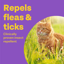 Load image into Gallery viewer, Bob Martin Clear Flea & Tick Cat Spot On Prevention