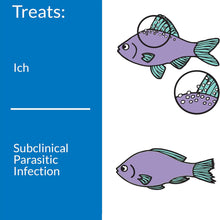 Load image into Gallery viewer, API White Spot Cure 118 ml