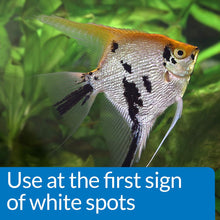 Load image into Gallery viewer, API White Spot Cure 118 ml