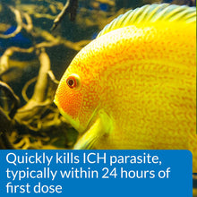 Load image into Gallery viewer, API White Spot Cure 118 ml