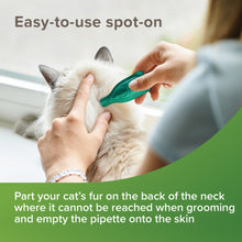 Load image into Gallery viewer, Beaphar Cat Flea Spot On 12 or 24 Week Prevention