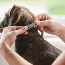 Load image into Gallery viewer, Beaphar Canishield® Medicated Flea & Tick Collar for Small, Medium & Large Dogs
