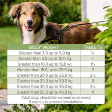 Load image into Gallery viewer, Beaphar WORMclear Tablets for Dogs