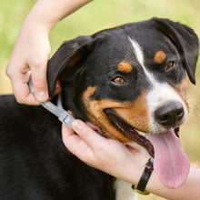 Load image into Gallery viewer, Beaphar Canishield® Medicated Flea & Tick Collar for Small, Medium & Large Dogs