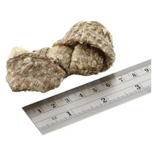 Load image into Gallery viewer, Fish4Dogs Sea Jerky