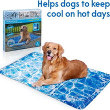 Load image into Gallery viewer, All For Paws Chill Out Always Cool Dog Mat – Medium