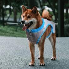 Load image into Gallery viewer, All For Paws Chill Out Summer Cooling Vest for Chill Dogs