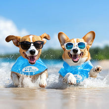 Load image into Gallery viewer, All For Paws Chill Out Ice Bandana Collar for Cooling Dogs