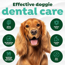Load image into Gallery viewer, TropiClean Fresh Breath Dog Teeth Cleaning Foam Mint 133ml