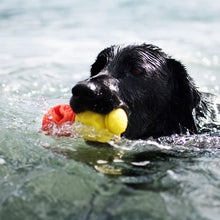 Load image into Gallery viewer, K9Connectables Dog Toys - The Original