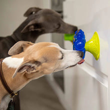 Load image into Gallery viewer, K9Connectables Dog Toys - Super Sticker