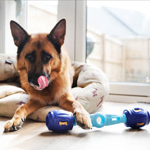 Load image into Gallery viewer, K9Connectables Dog Toys - Tech Bone