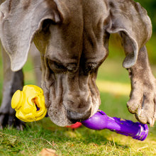 Load image into Gallery viewer, K9Connectables Dog Toys - Tech Bone