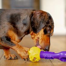 Load image into Gallery viewer, K9Connectables Dog Toys - Tech Bone