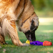 Load image into Gallery viewer, K9Connectables Dog Toys - Tech Bone
