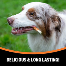 Load image into Gallery viewer, Rosewood Chewy Sticks Chicken Dog Treats 100g