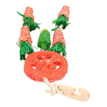 Load image into Gallery viewer, Rosewood Carrot Dream Catcher – A Fun & Chewable Toy for Small Pets