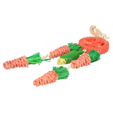 Load image into Gallery viewer, Rosewood Carrot Dream Catcher – A Fun & Chewable Toy for Small Pets