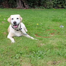 Load image into Gallery viewer, Rosewood Xtra Strong Stake Out Spike for Dogs Silver