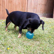 Load image into Gallery viewer, Rosewood BioSafe Ball Toy for Small Dogs
