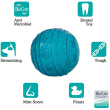 Load image into Gallery viewer, Rosewood BioSafe Ball Toy for Small Dogs