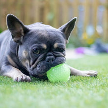 Load image into Gallery viewer, Rosewood Glow in the Dark Ball