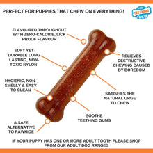 Load image into Gallery viewer, Nylabone Gentle Puppy Teething Chew Toy Bone, Chicken Flavour, Medium
