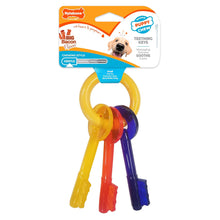 Load image into Gallery viewer, Nylabone Gentle Puppy Teething Chew Toy Keys, Bacon Flavour, Small