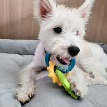Load image into Gallery viewer, Nylabone Gentle Puppy Teething Rings Bacon Flavour Dog Toy Up To 11kg
