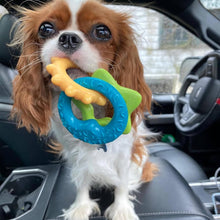 Load image into Gallery viewer, Nylabone Gentle Puppy Teething Rings Bacon Flavour Dog Toy Up To 11kg