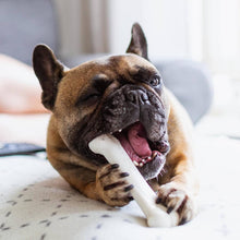 Load image into Gallery viewer, Nylabone Dura Chew Extreme Chew Bone Twin Pack Bacon & Chicken Flavour For Medium Dogs