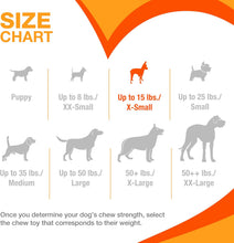Load image into Gallery viewer, Nylabone Puppy Starter Kit Chicken & Peanut Butter Flavour for Puppies
