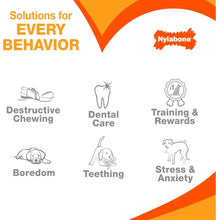 Load image into Gallery viewer, Nylabone Extreme Tough Dog Chew Toy Bone, Beef & Cheese Flavour, Medium