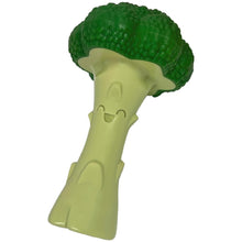 Load image into Gallery viewer, Nylabone Broccoli Dental Chew Dog Toy Large for Extreme Chewers Up To 23kg