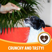 Load image into Gallery viewer, Rosewood Chicken Crunchy Meatballs Dog Treats Gluten Free 140g