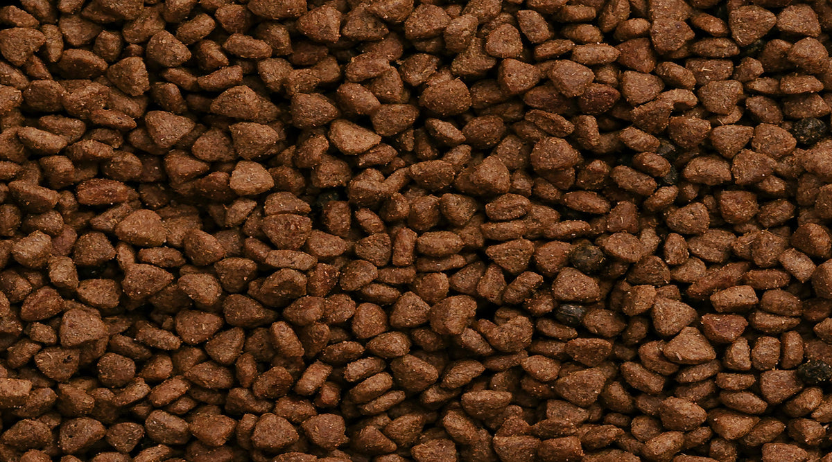 Choosing a Complete Dry Dog Food for Your Pet