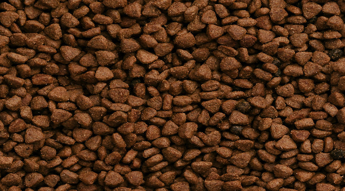 Choosing a Complete Dry Dog Food for Your Pet