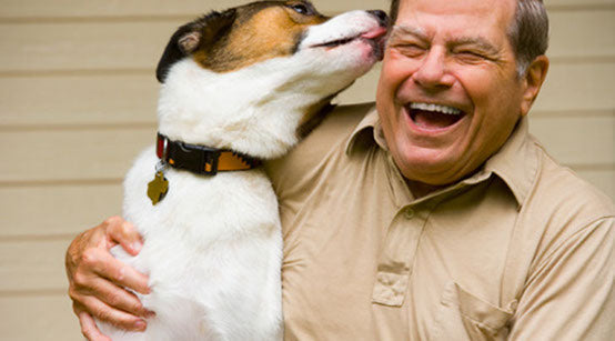 Meal Prep Tips for Multi-Dog Households