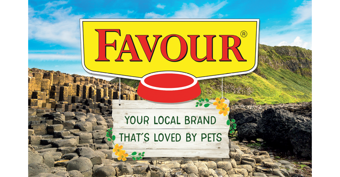 How Portion Size Impacts Your Dog’s Weight and Health