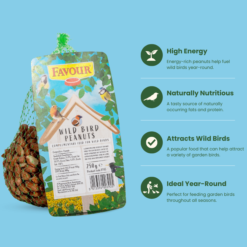 Favour Peanuts for Wild Birds