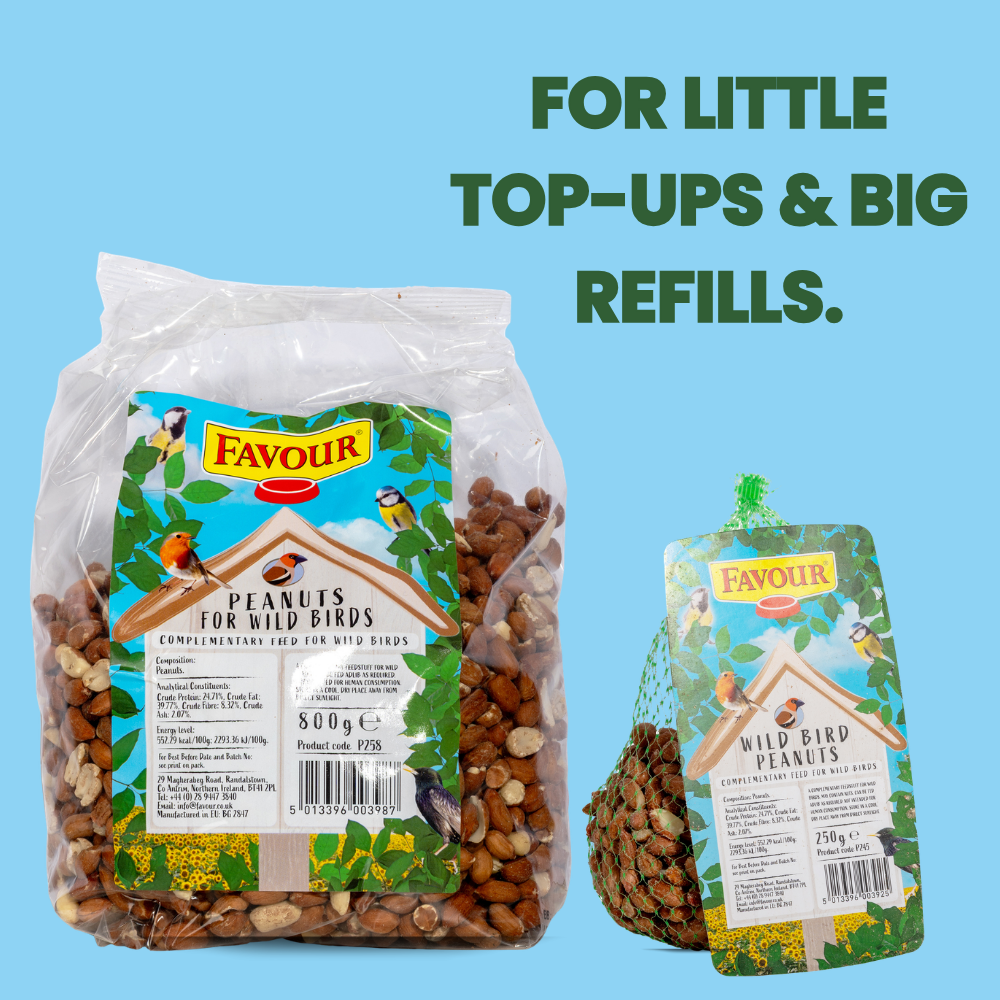 Favour Peanuts for Wild Birds