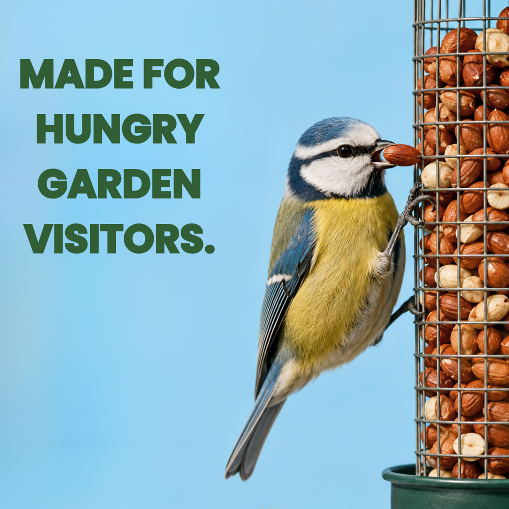 Favour Peanuts for Wild Birds