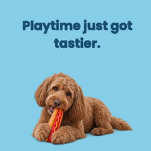 Load image into Gallery viewer, Favour Squeaky Dog Toys
