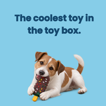 Load image into Gallery viewer, Favour Squeaky Dog Toys
