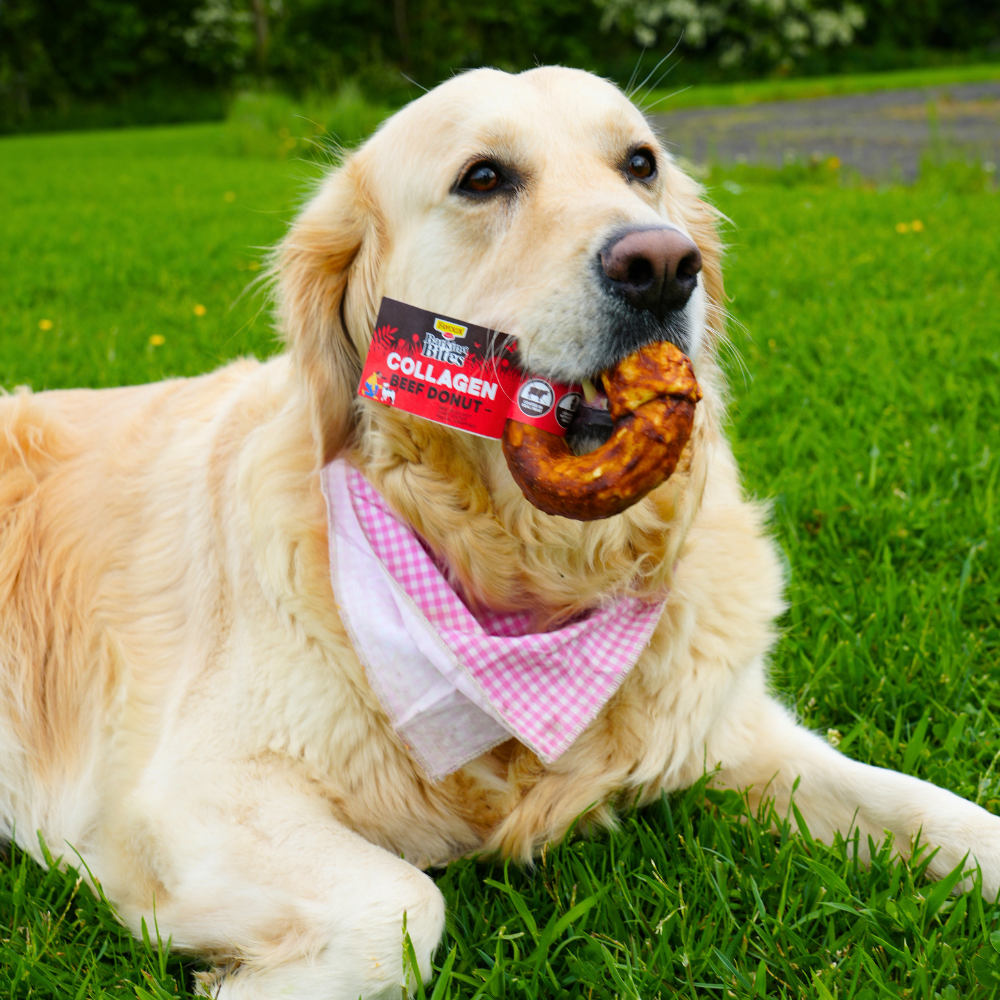 Favour Collagen Beef Donut