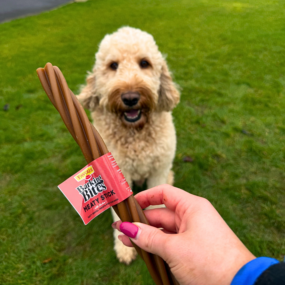 Favour Barking Bites Meaty Sticks 90g