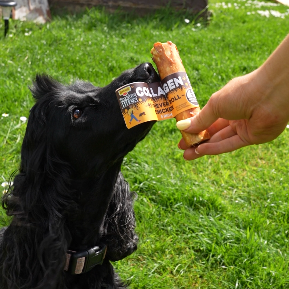 Favour Collagen Chicken 5" Retriever Rolls