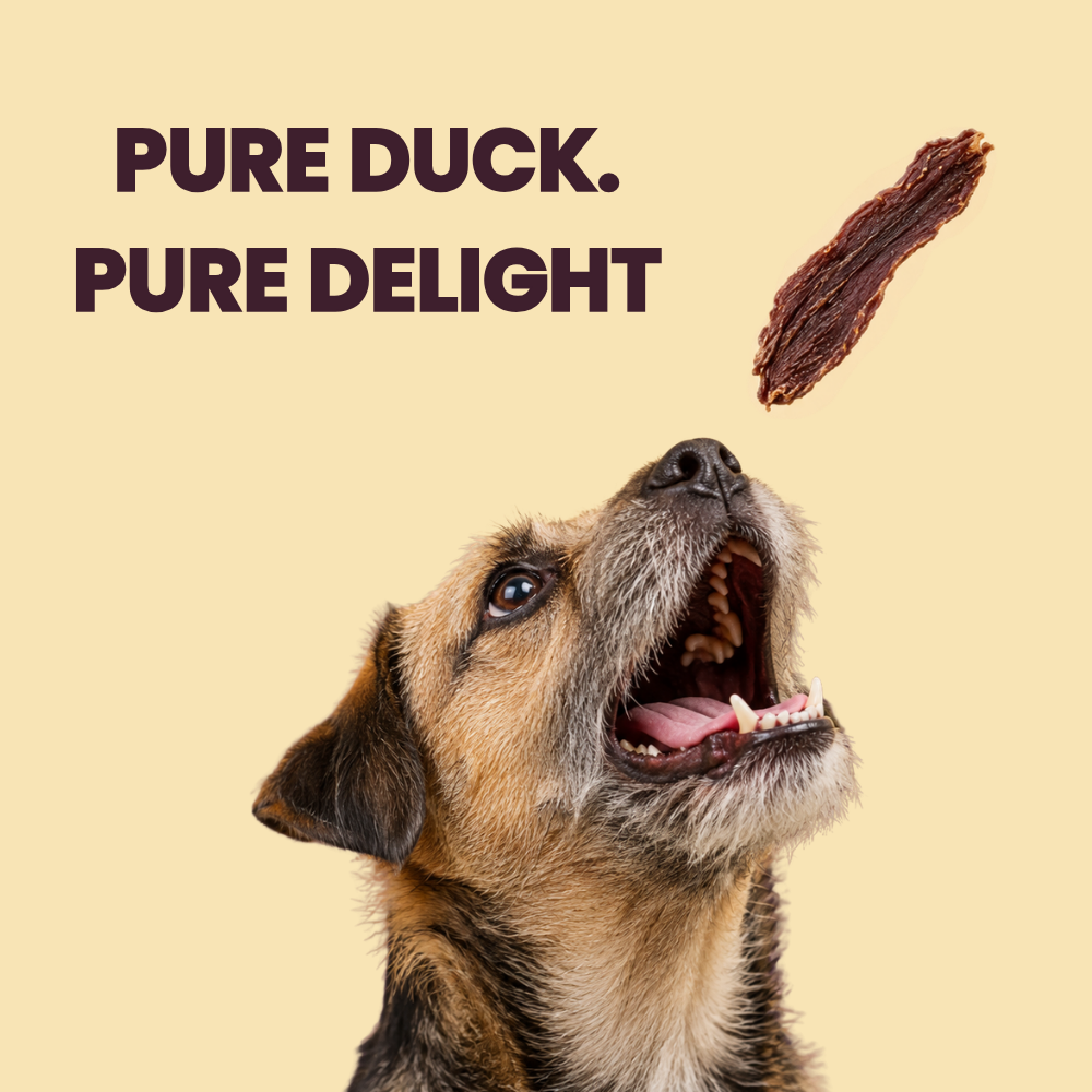 Favour Duck Fillets