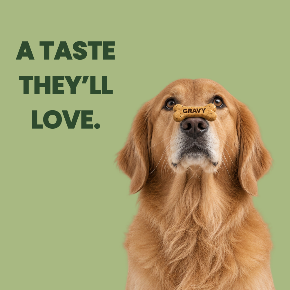 Favour Gravy Bones